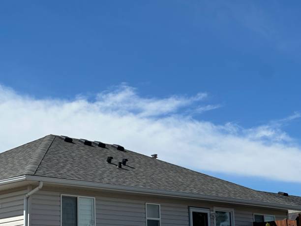 Best Roof Coating and Sealing  in Hines, OR